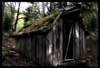 "Hen House"
