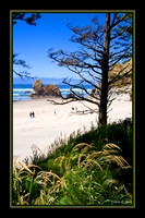 Arcadia Beach