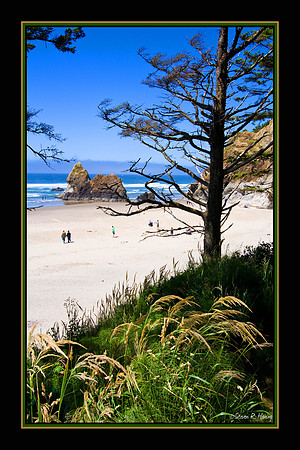 Arcadia Beach