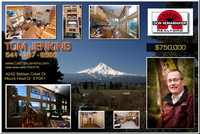 Realtor Promo Ads