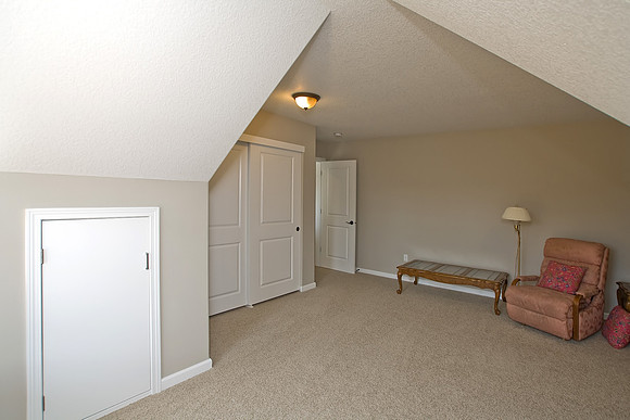 Bonus Area