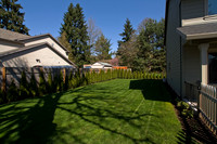 Side Yard