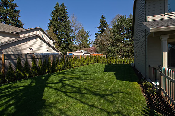 Side Yard