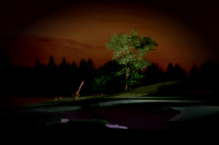 Tree On The Green - Eagle Crest Resort