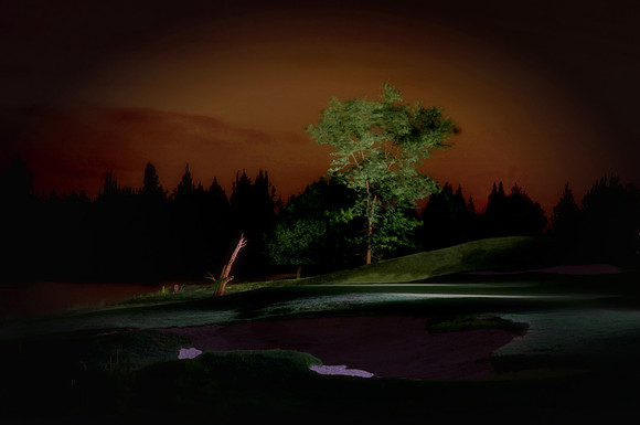 Tree On The Green - Eagle Crest Resort