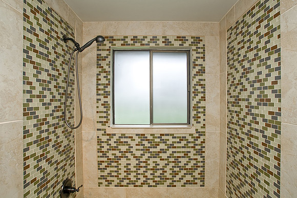 Main Bath Shower